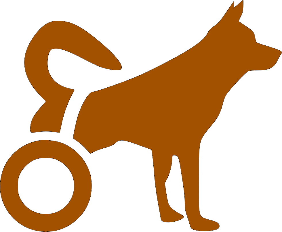 Zdravotní problémy psů a koček